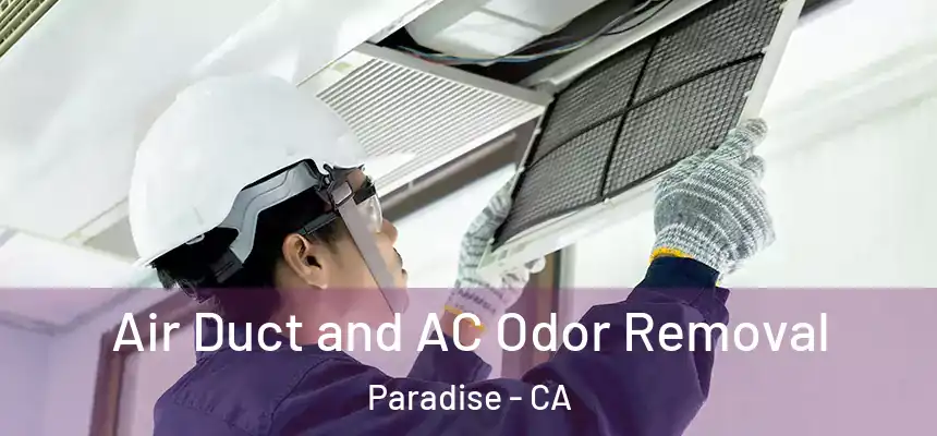 Air Duct and AC Odor Removal Paradise - CA