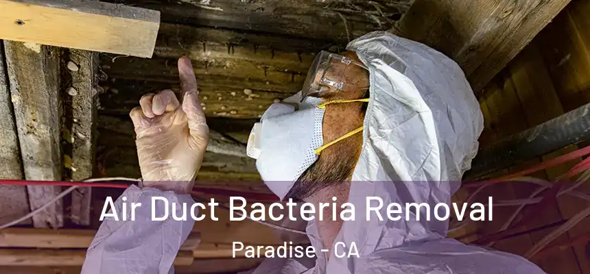 Air Duct Bacteria Removal Paradise - CA