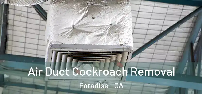  Air Duct Cockroach Removal Paradise - CA