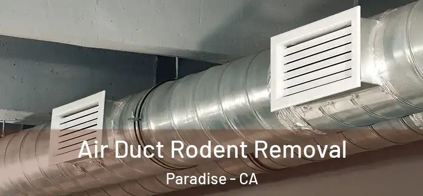 Air Duct Rodent Removal Paradise - CA