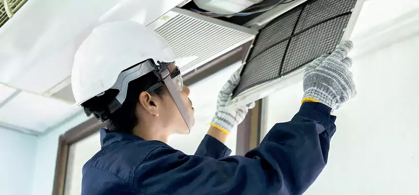 Our Mold & Mildew Removal from Air Ducts Services in Paradise, CA