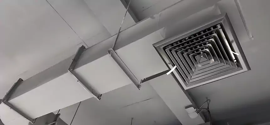 Our Pest Removal From Ducts Services in Paradise, CA