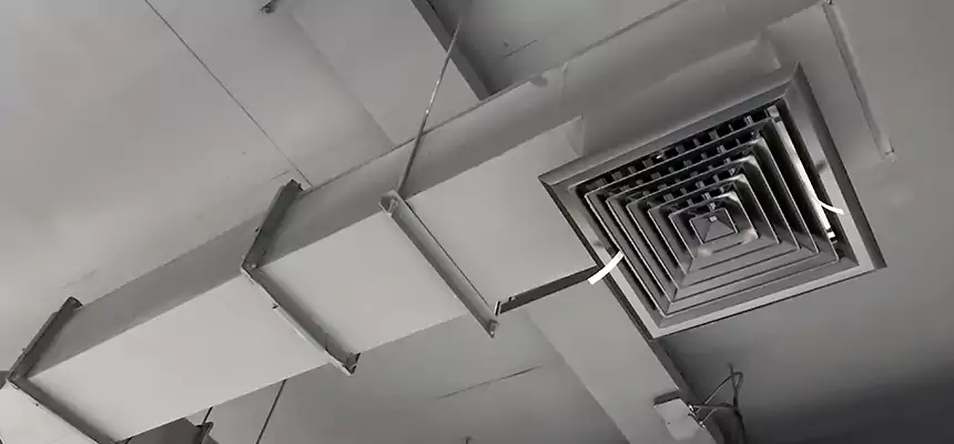 Our Rodent Droppings In Vents Services in Paradise, CA