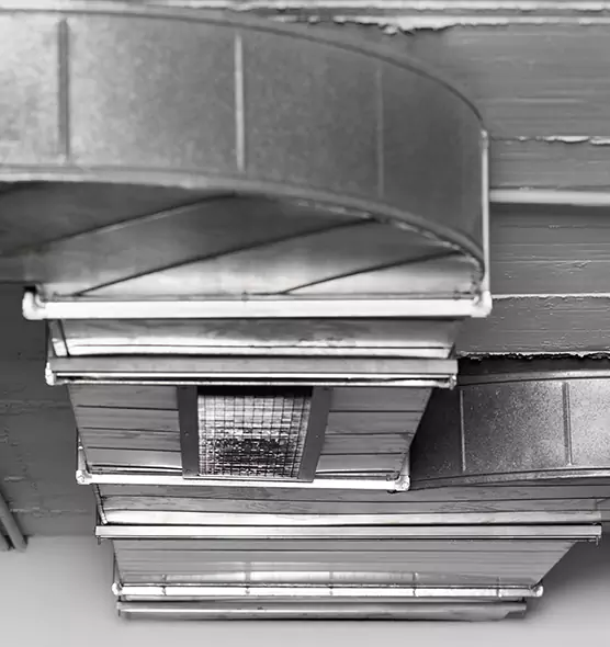 Professional Air Duct Pet Hair Removal in Paradise, CA