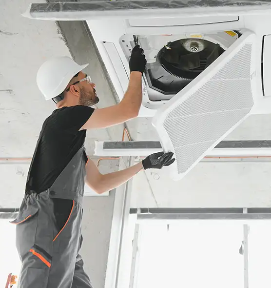 About Air Duct Rodent Removal in Paradise, CA