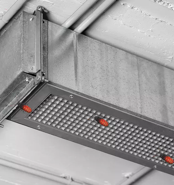 Affordable Insect Removal from Air Ducts in Paradise, CA