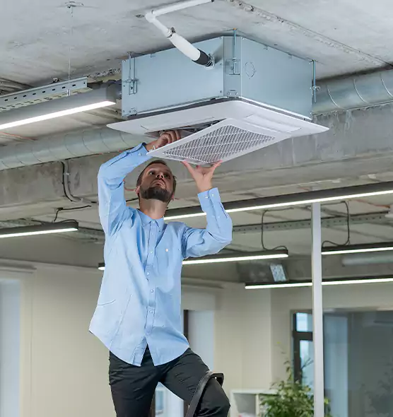 Advanced Rodent Droppings In Vents in Paradise, CA
