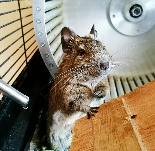 Why Homeowners & Businesses Trust Us Paradise, CA