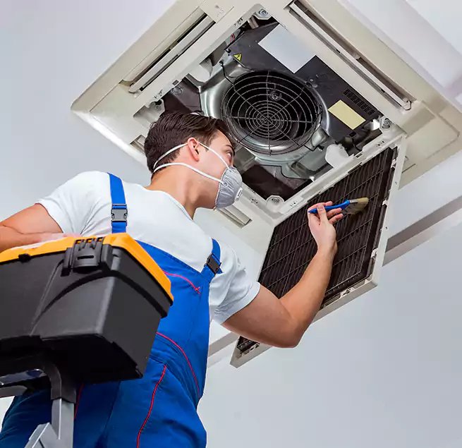 Why Homeowners & Businesses Trust Us in Paradise, CA