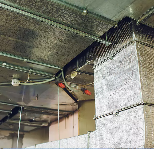 Why Homeowners & Businesses Trust Us Paradise, CA?