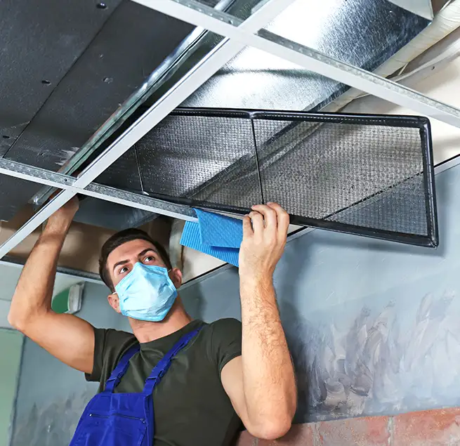 Why Homeowners & Businesses Trust Us in Paradise, CA?