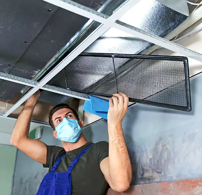 Why Homeowners Businesses Trust Us in Paradise, CA